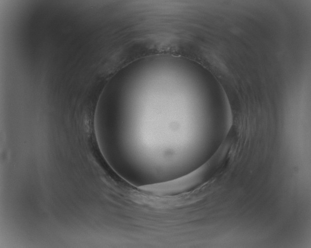 X0000073480039200607311212