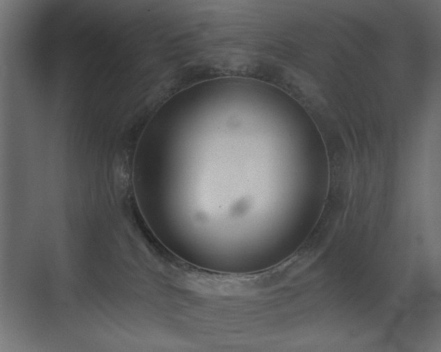 X0000073480040200607311212