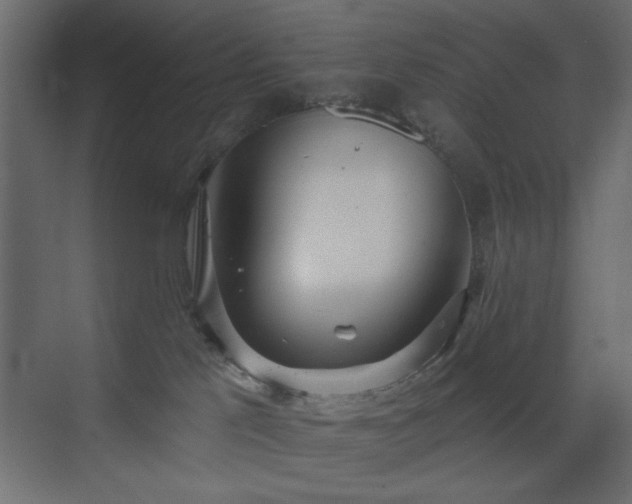 X0000073480041200607311212