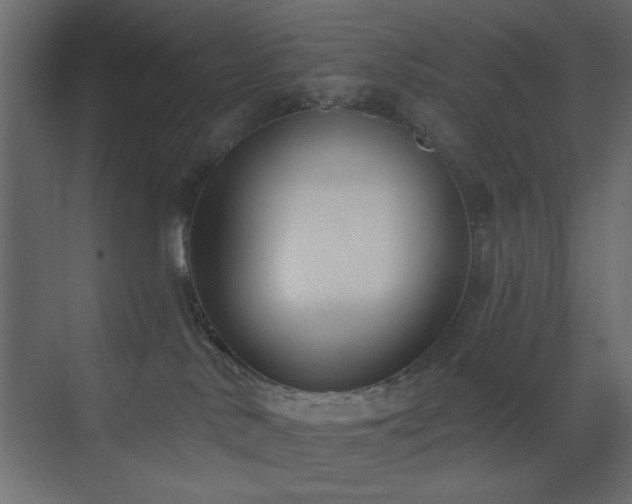 X0000073480042200607311212