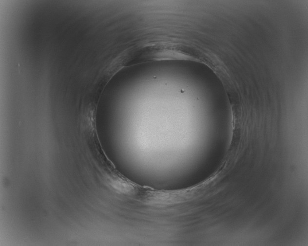 X0000073480045200607311212