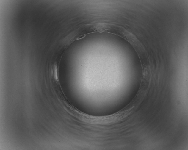 X0000073480046200607311212