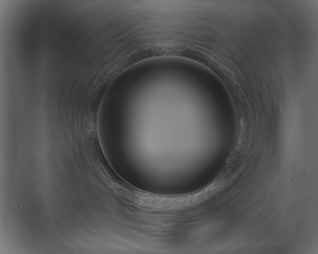 X0000073480048200607311212