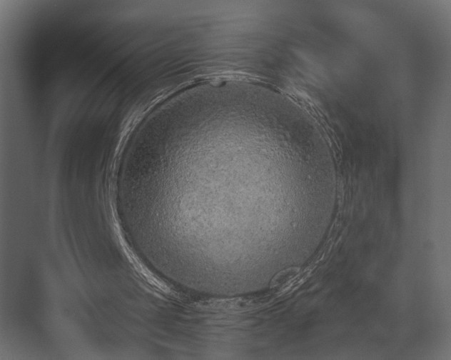 X0000073480049200607311211