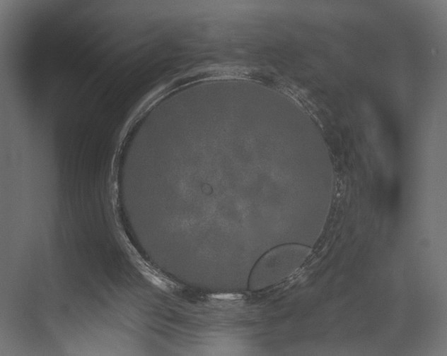 X0000073480053200607311211