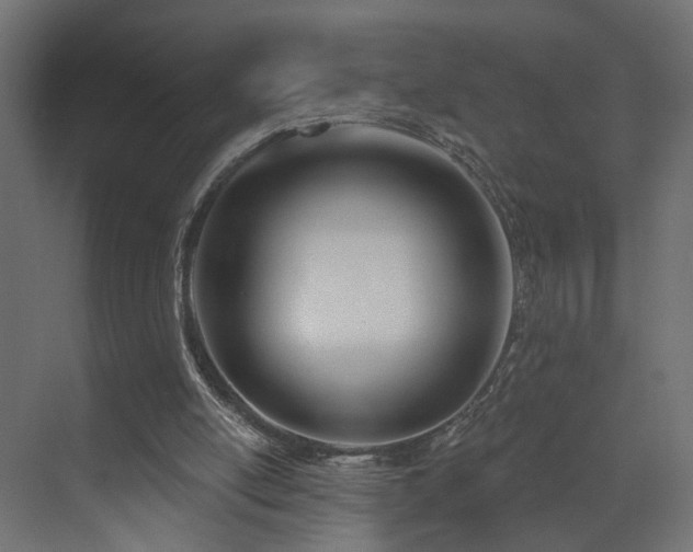 X0000073480054200607311211