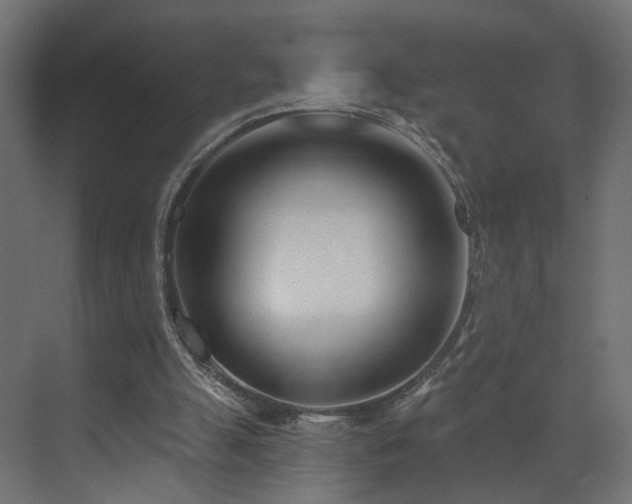 X0000073480055200607311211