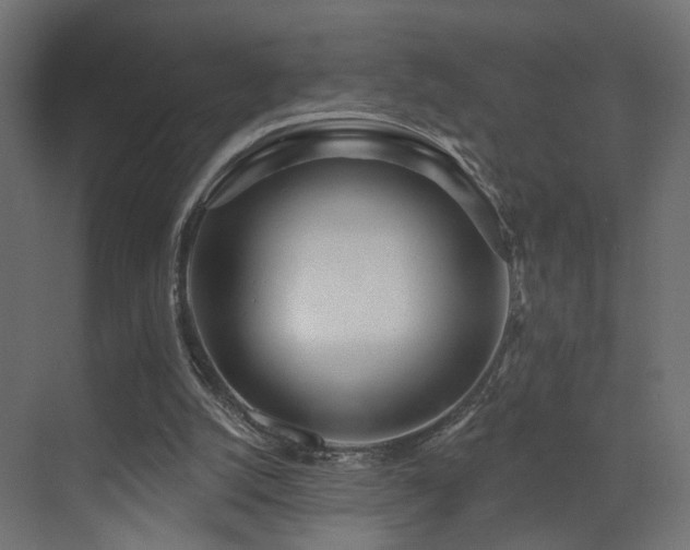 X0000073480056200607311211