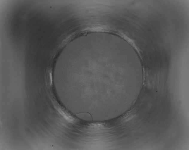 X0000073480061200607311211