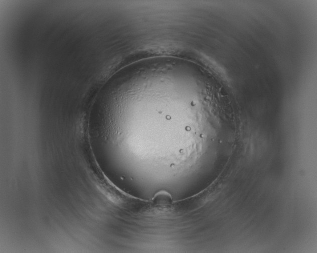 X0000073480065200607311211