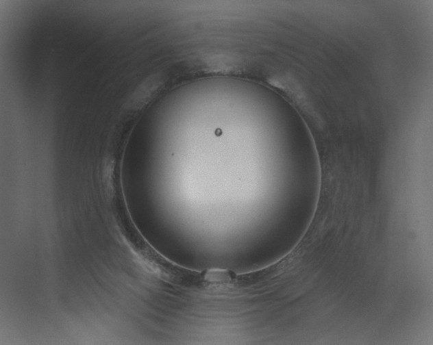 X0000073480066200607311211