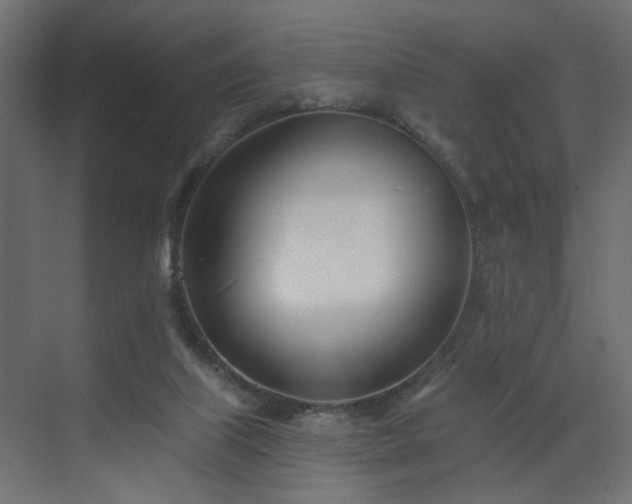 X0000073480067200607311211