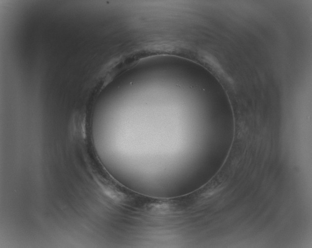 X0000073480068200607311211