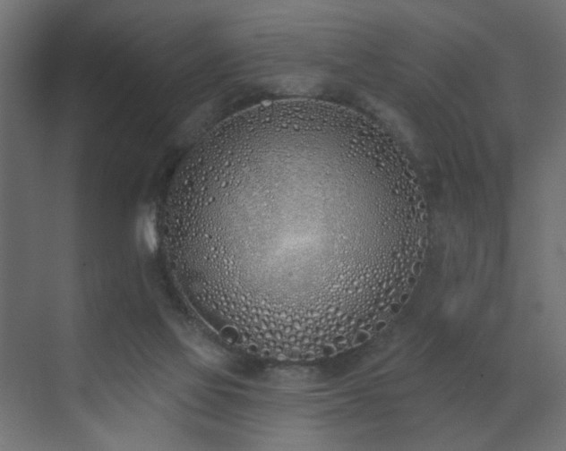 X0000073480069200607311211