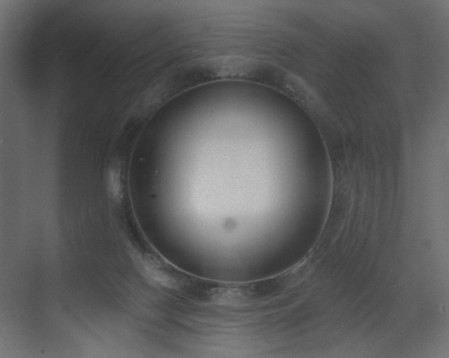 X0000073480074200607311211