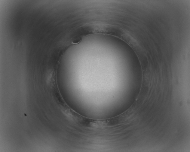 X0000073480079200607311211