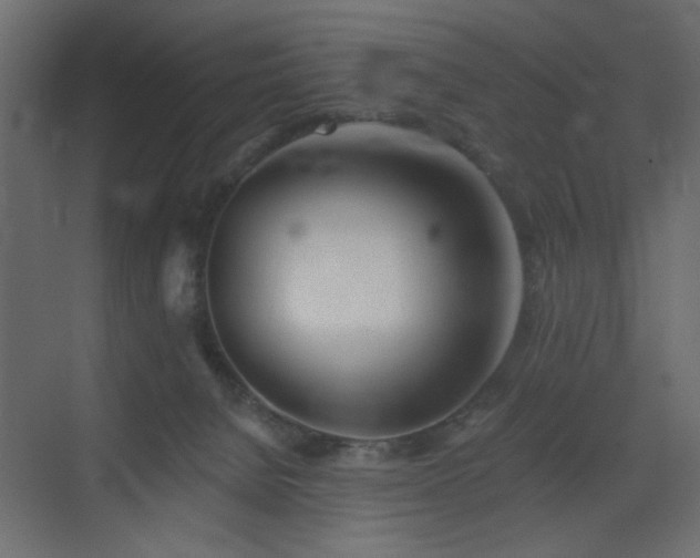 X0000073480080200607311211