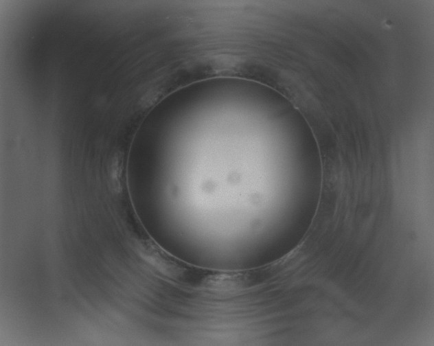 X0000073480082200607311211