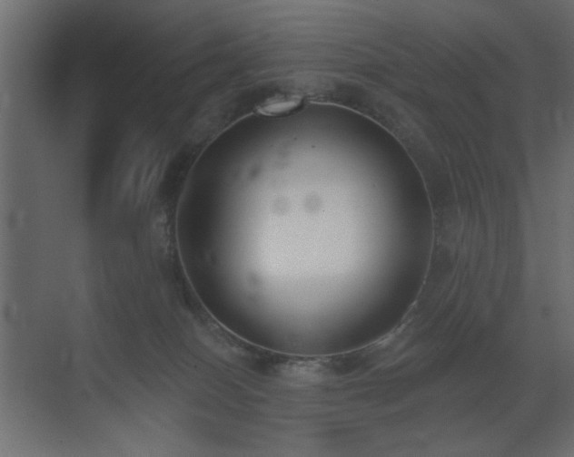 X0000073480086200607311211