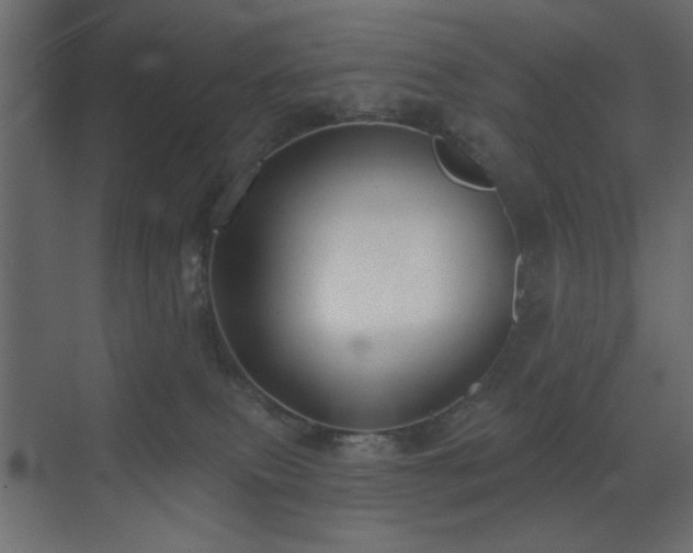 X0000073480087200607311211