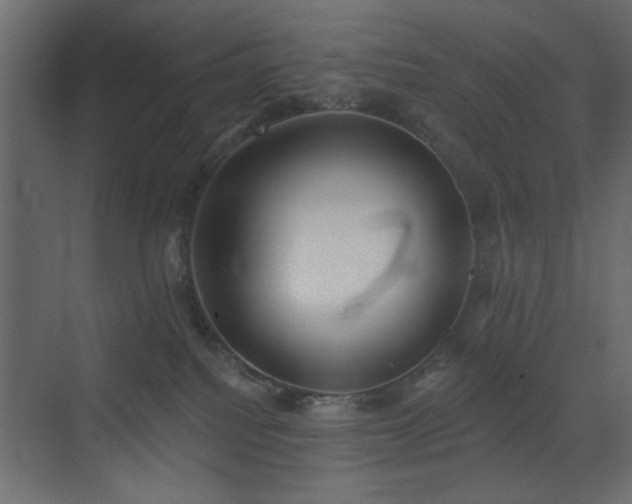 X0000073480088200607311211