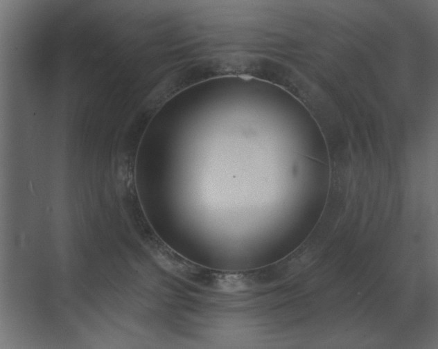 X0000073480091200607311212