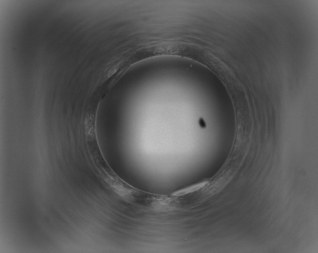 X0000073480096200607311212