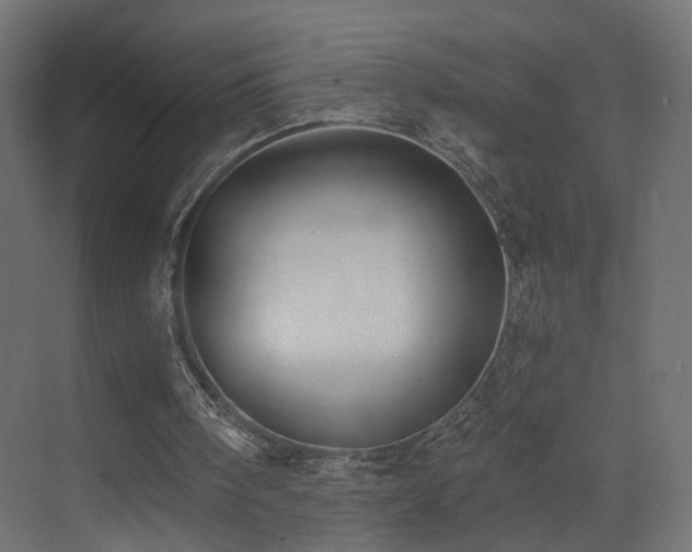 X0000073480098200607311211