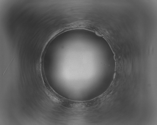 X0000073480100200607311211