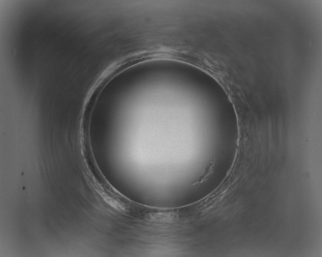 X0000073480102200607311211