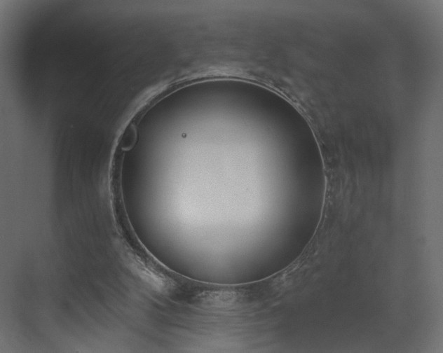 X0000073480104200607311211