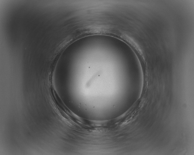 X0000073480105200607311211