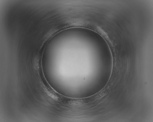 X0000073480106200607311211