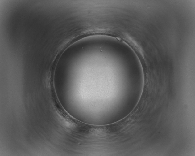 X0000073480107200607311211