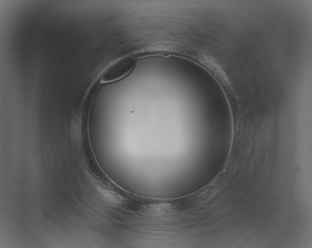 X0000073480108200607311211