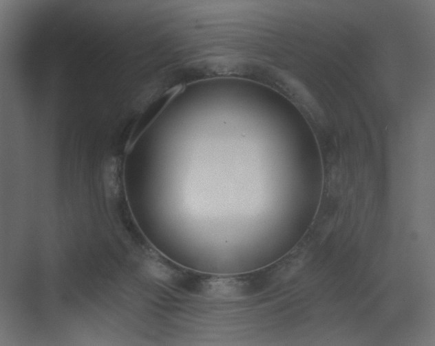 X0000073480121200607311210