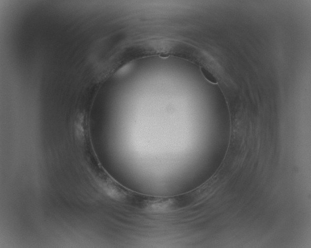 X0000073480122200607311210