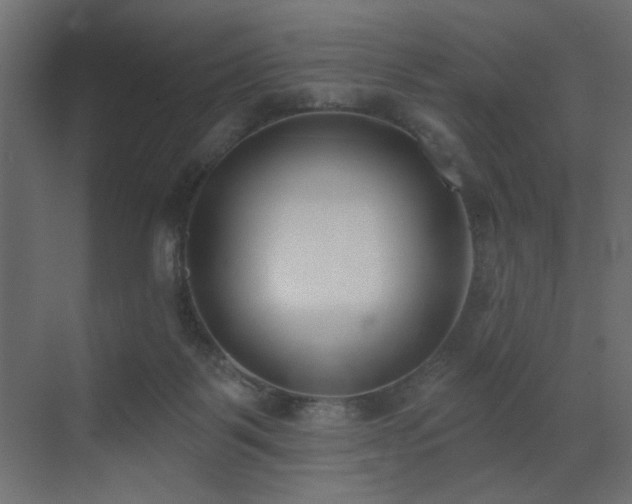 X0000073480123200607311210