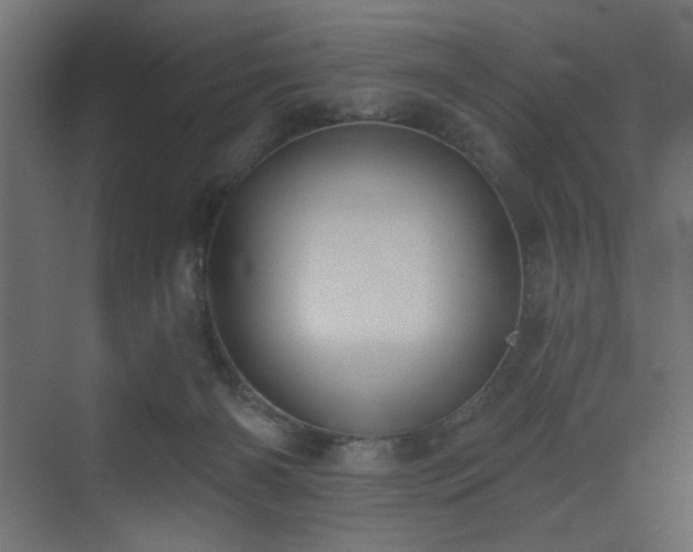 X0000073480126200607311210