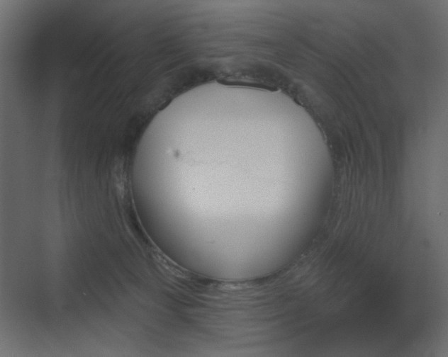 X0000073480129200607311210