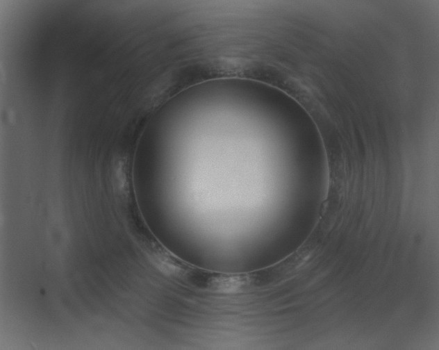 X0000073480131200607311210