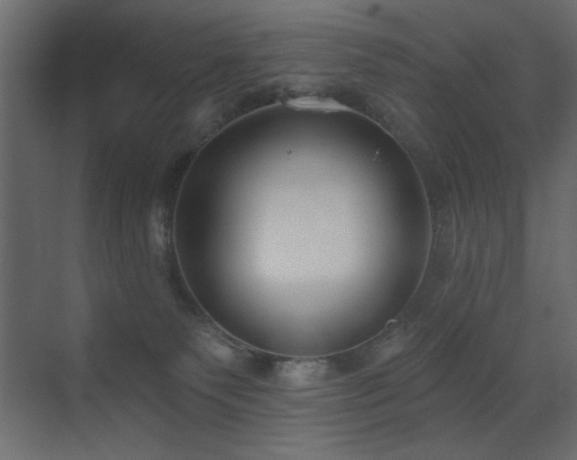 X0000073480135200607311210