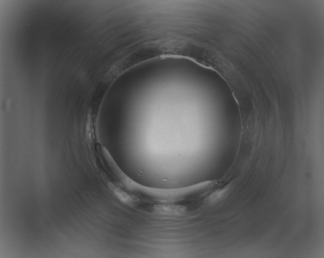 X0000073480137200607311210