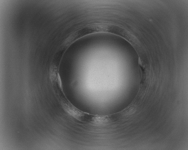 X0000073480141200607311210