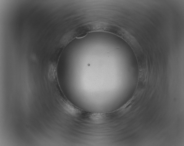 X0000073480142200607311210