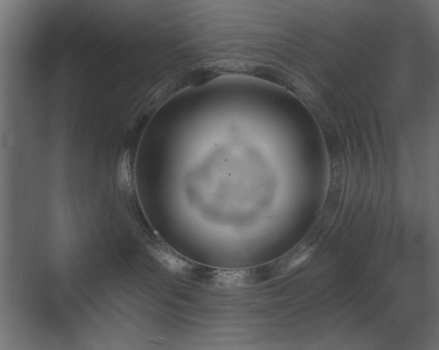 X0000073480143200607311210