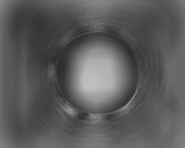 X0000073480144200607311210