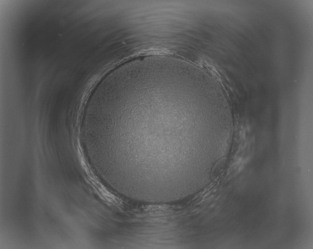 X0000073480145200607311209