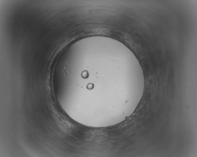 X0000073480146200607311209