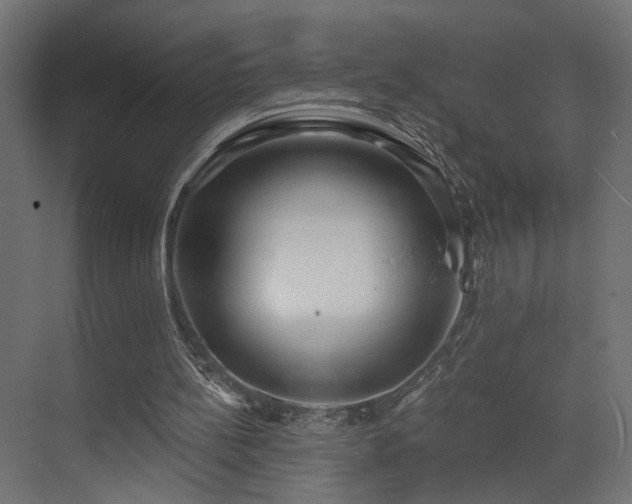 X0000073480148200607311209